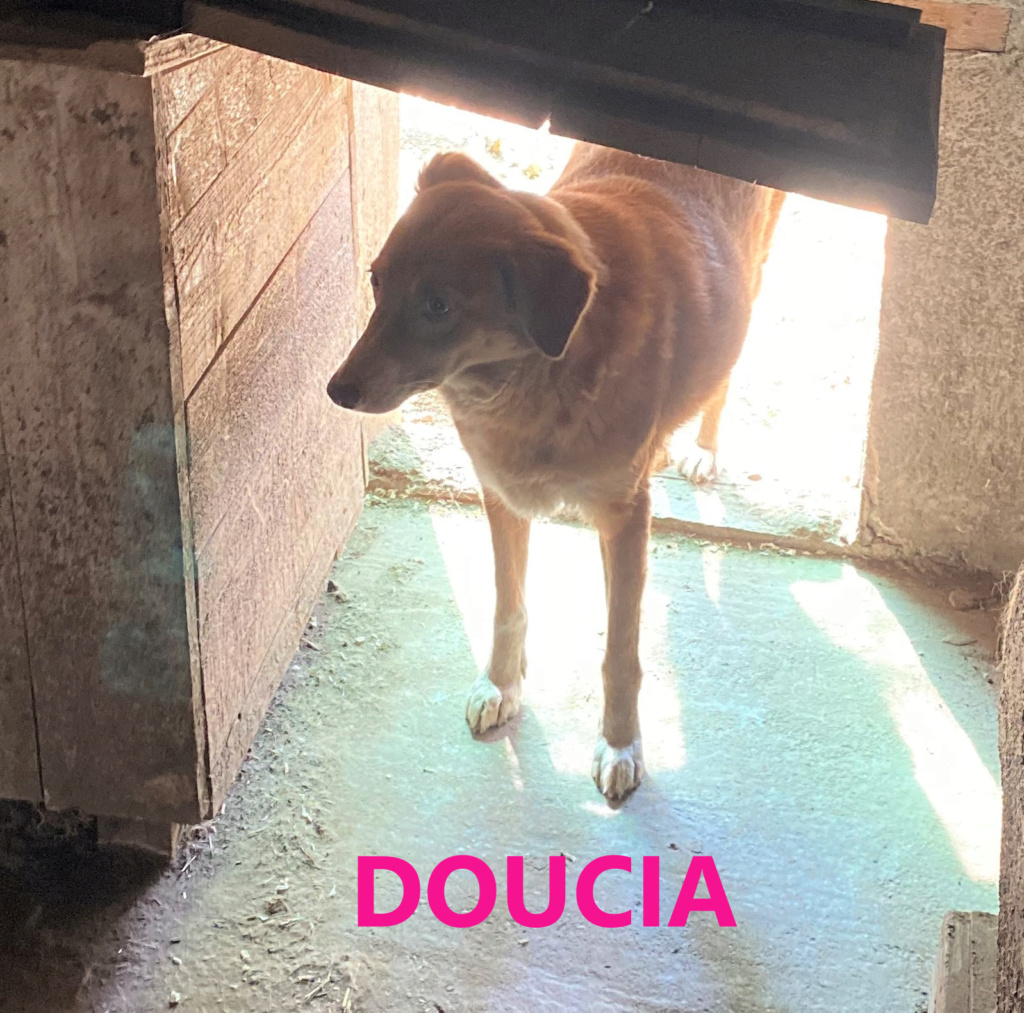 doucia10.png