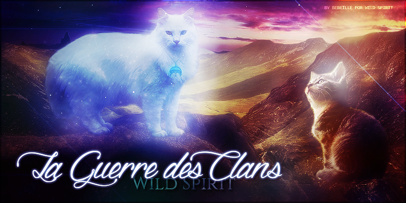 La Guerre des Clans : Wild Spirit