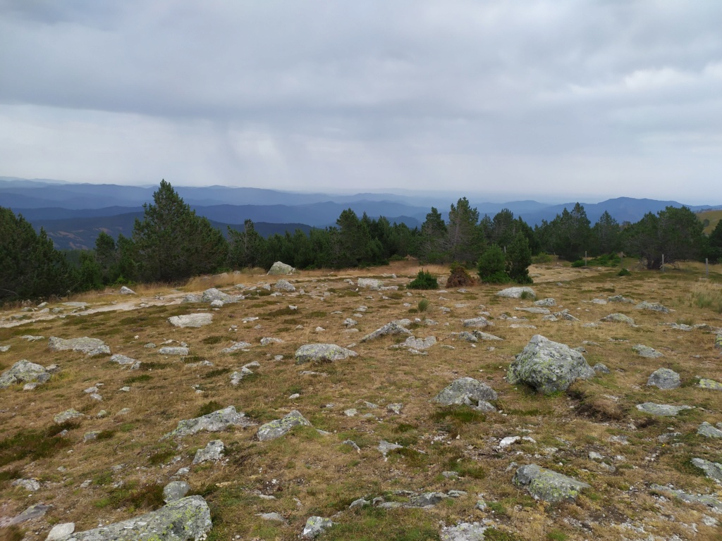 mont_a18.jpg